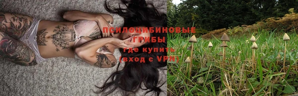 дмт Балахна