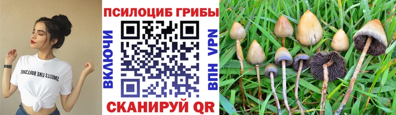 Галлюциногенные грибы прущие грибы  Ноябрьск 